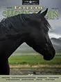 Majestic horse profile view